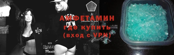 сатива Волосово