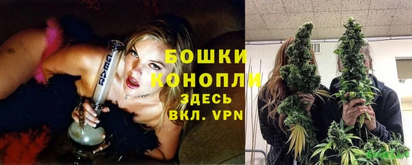 сатива Волосово