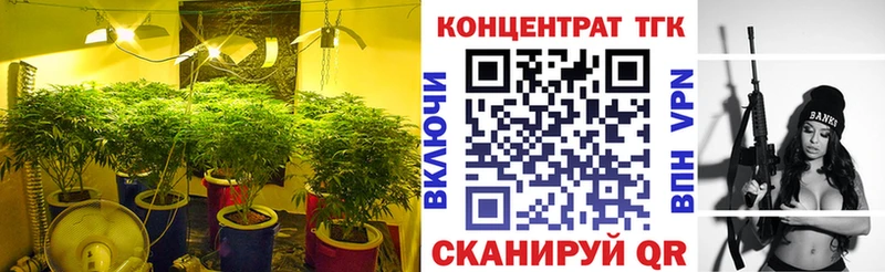 Дистиллят ТГК Wax  Элиста 
